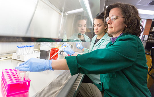 women stem